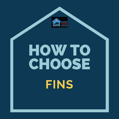 HOW TO CHOOSE FINS